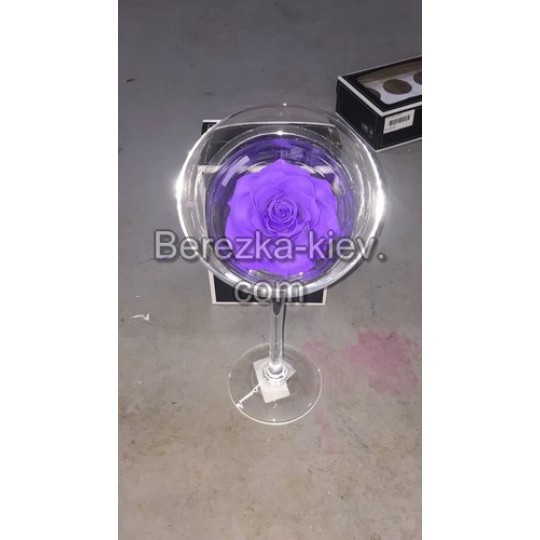 Стабилизированная роза XXXL в стеклянном бокале (фиолетовая)